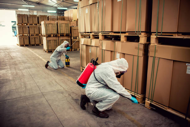 Best Local Pest Control Services  in Roseville, MI