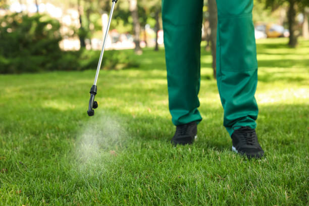 Best Pest Control Near Me  in Roseville, MI