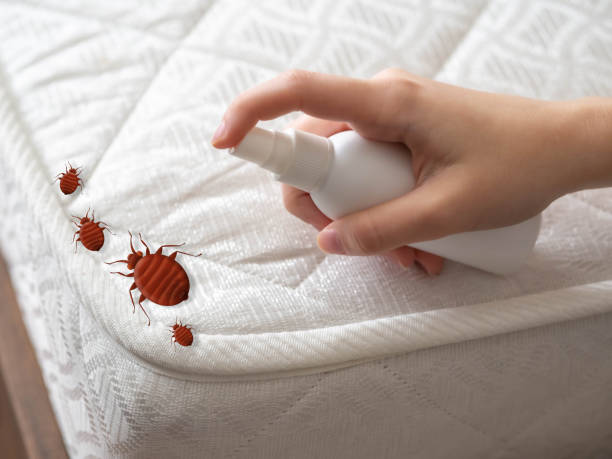 Best Affordable Pest Control Services  in Roseville, MI