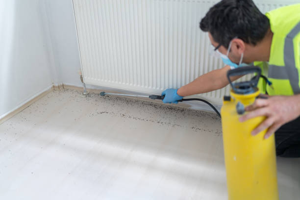 Best Pest Prevention Services  in Roseville, MI